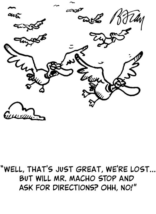 'Well, that's just great, we're lost...but will Mr. Macho stop and ask for directions? Ohhh, no!'