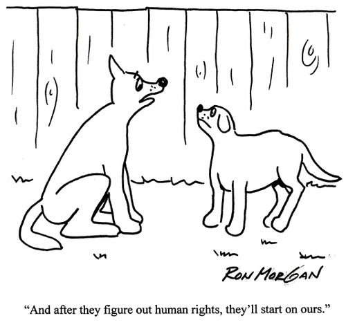 'And after they figure out human rights, they'll start on ours.'