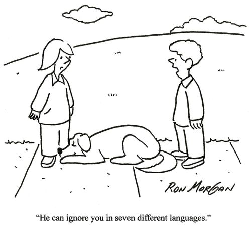 'He can ignore you in seven different languages.'