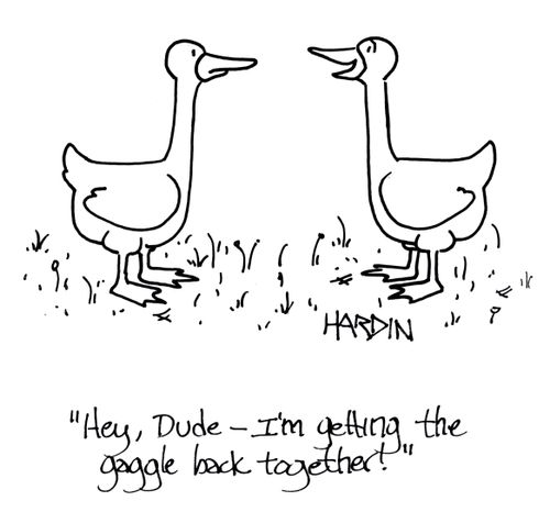 'Hey, Dude - I'm getting the gaggle back together!'