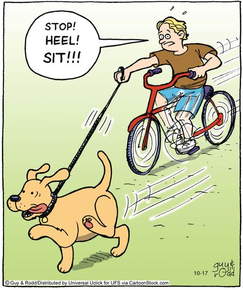 'Stop! Heel! Sit!!!'