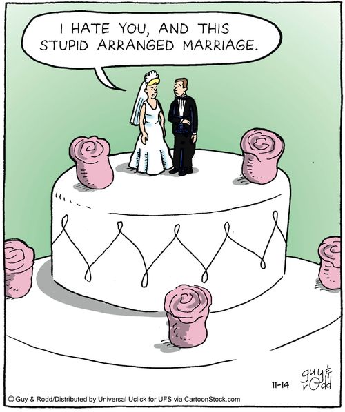 'I hate you, and this stupid arranged marriage.'