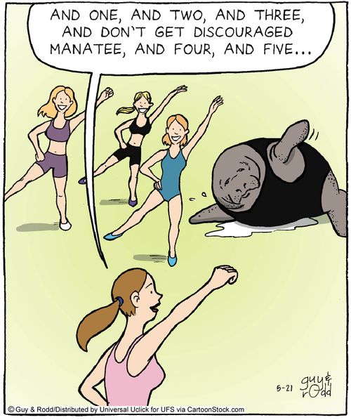 'And one, and two, and three, and don't get discouraged Manatee, and four, and five...'