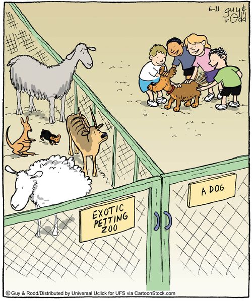 Exotic Petting Zoo and A Dog.