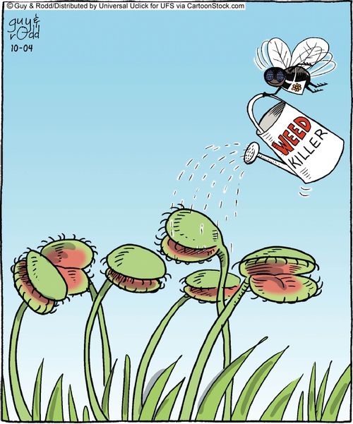 Weed killer...