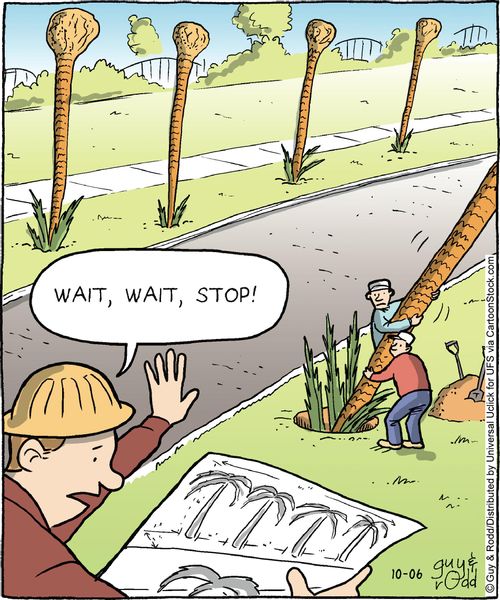'Wait, wait, stop!'
