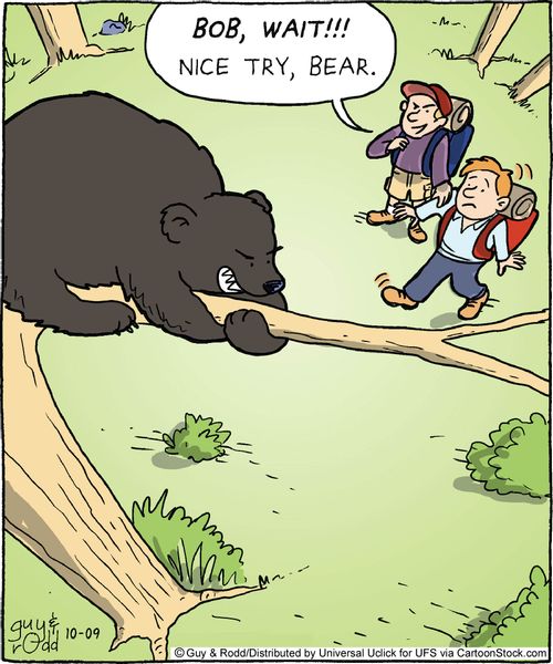 'Bob, wait!!! Nice try, bear.'