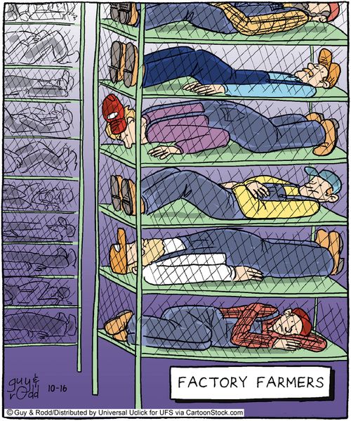 Factory Farmers.