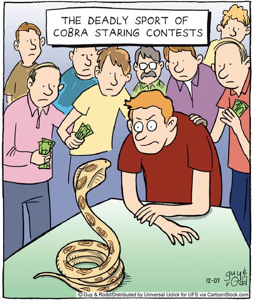The deadly sport of cobra staring contests.