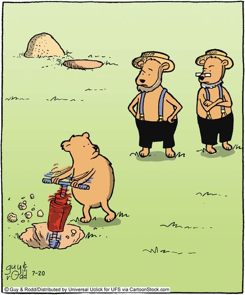 Lazy Groundhog.