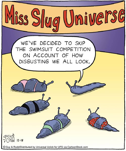 'We've decided to skip the swimsuit competition on account of how disgusting we all look.'