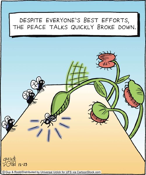 Despite everyone's best efforts, the peace talks quickly broke down.