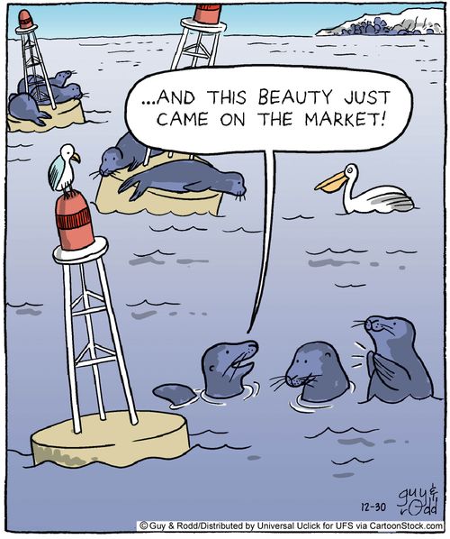'And this beauty just came on the market.'