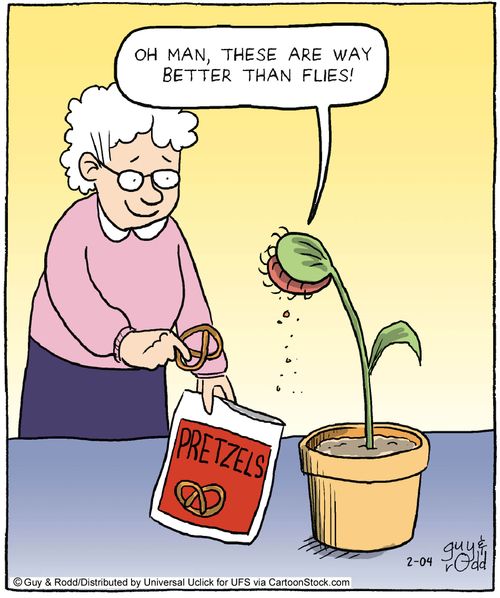 'Oh man, these are way better than flies!'