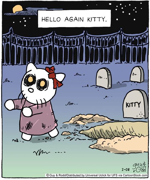 Hello again kitty.