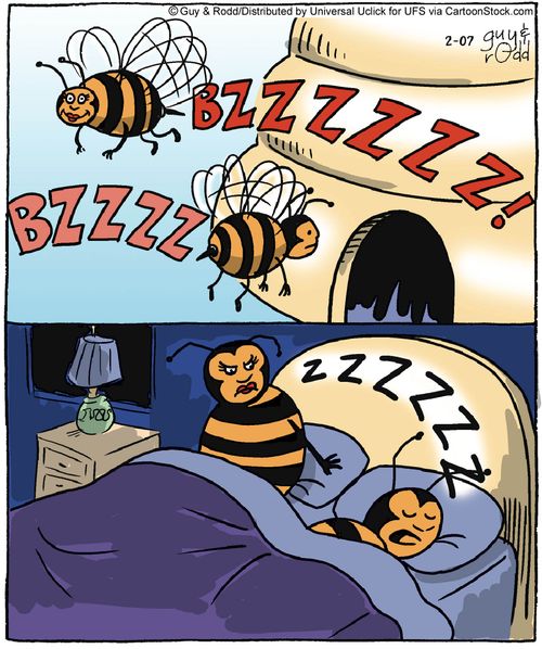 Bee with a bad snoring habit.