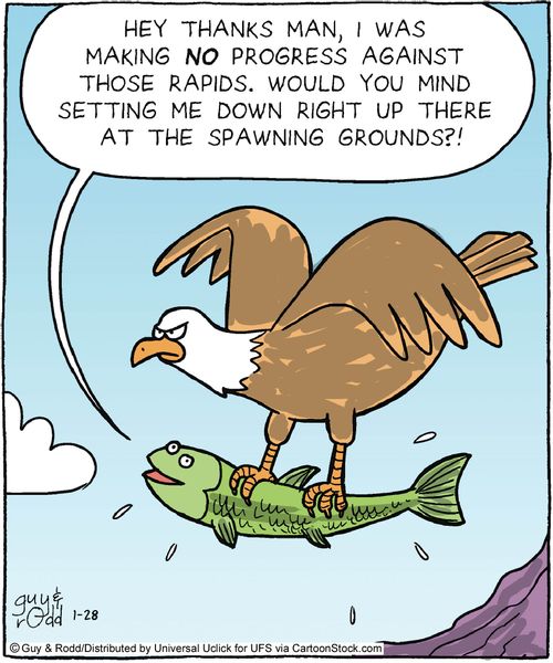 'Hey thanks man, I was making no progress against those rapids. Would you mind setting me down right up there at the spawning grounds?!'