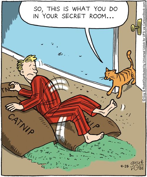 'So, this is what you do in your secret room...'
