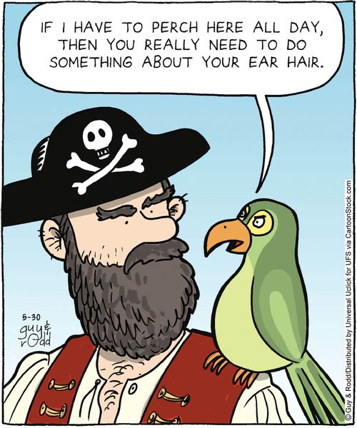 'If I have to perch here all day, then you really need to do something about your ear hair.'