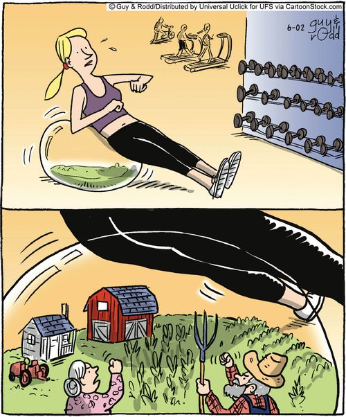 The World of Exercise Equipment.