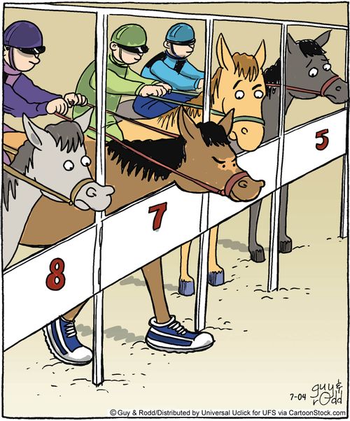 Competitive Horse at the Racetracks.