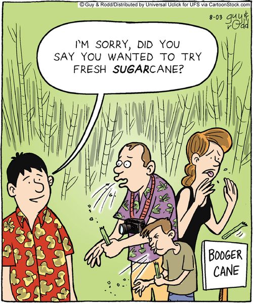 'I'm sorry, did you say you wanted to try fresh sugarcane.'