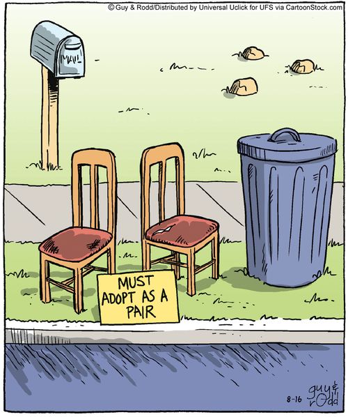 Must Adopt As A Pair.