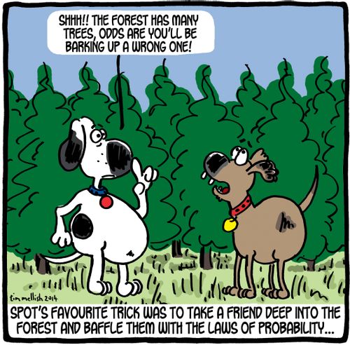 Spot's favourite trick was to take a friend deep into the forest and baffle them with the laws of probability...