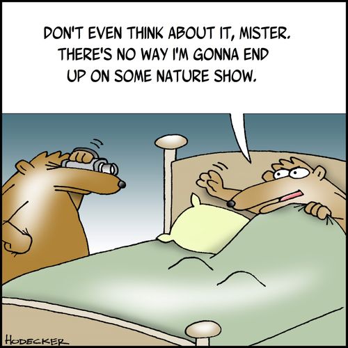 'Don't even think about it, Mister. There's no way I'm gonna end up on some nature show.'
