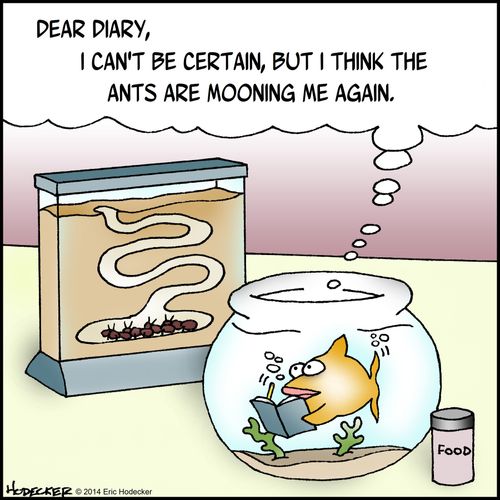 "I think the ants are mooning me again."