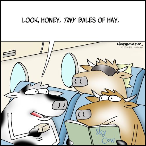 "Look, honey. Tiny bales of hay."
