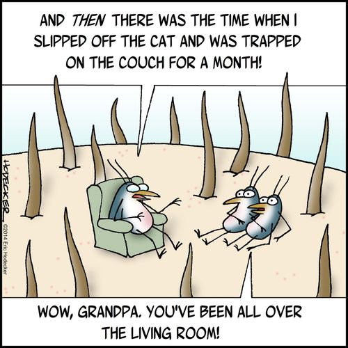'And then there was the time when I slipped off the cat and was trapped on the couch for a month!'