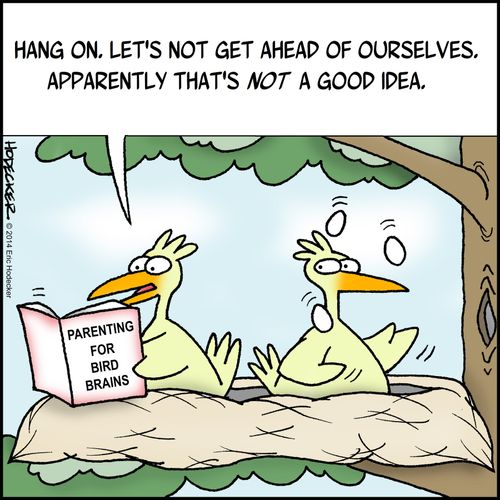 'Hang on. Let's not get ahead of ourselves. Apparently that's not a good idea.'