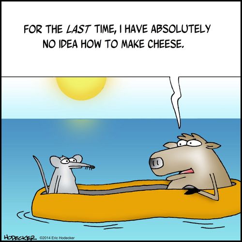 "...I have no idea how to make cheese."