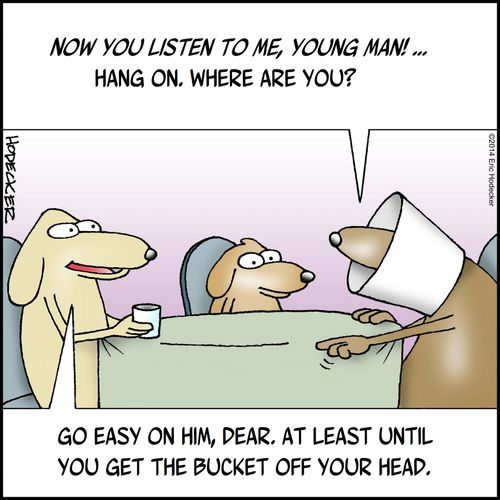 'Now you listen to me, young man!. . . Hang on. Where are you?'