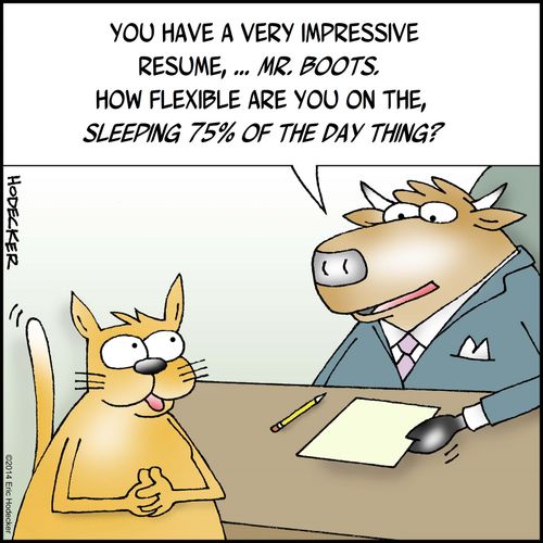'You have a very impressive resume. . . how flexible are you on the , sleeping 75% of the day thing?'