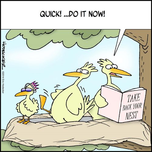 "Quick! ...Do it now!"