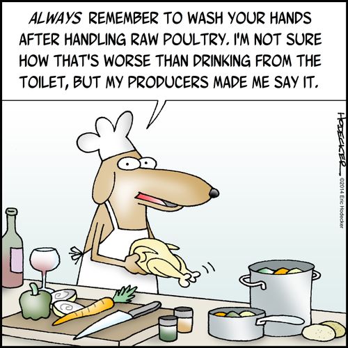 'Always remember to wash your hands after handling raw poultry. I'm not sure how that's worse than drinking from the toilet, but my producers made me say it.'