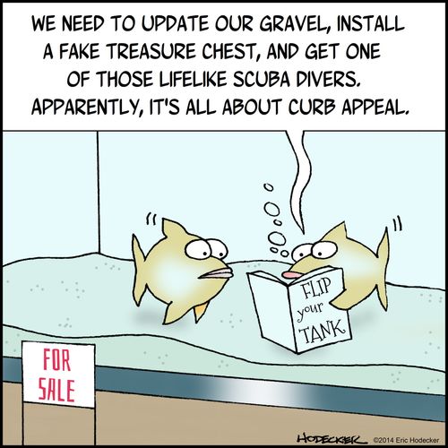 'We need to update our gravel, install a fake treasure chest, and get one of those lifelike scuba divers. Apparently, it's all about curb appeal.'
