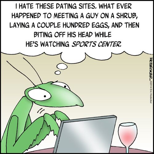"I hate these dating sites. What ever happened to meeting a guy on a shrub, laying a couple hundred eggs, and then biting off his had while he's watching sports center.'