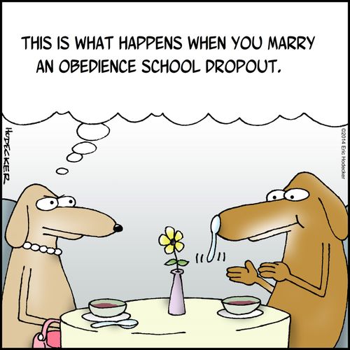 "This is what happens when you marry an obedience school dropout."