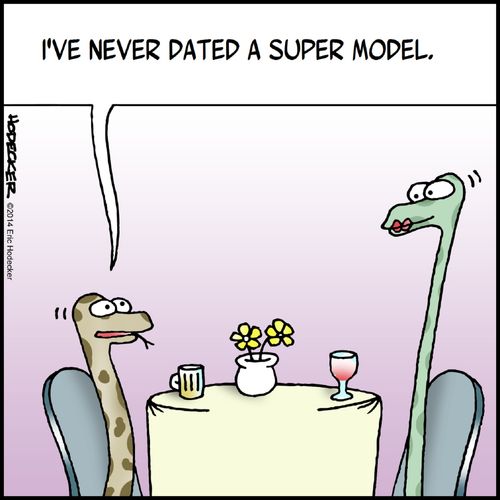 "I've never dated a super model."