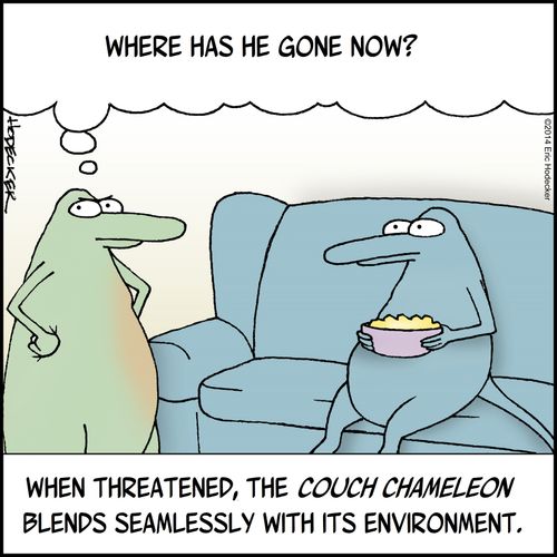 "Where has he gone now?"
