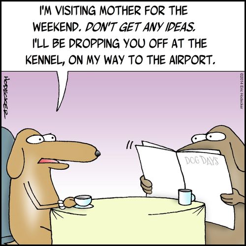 "...I'll be droping you off at the kennel, on the way to the airport."