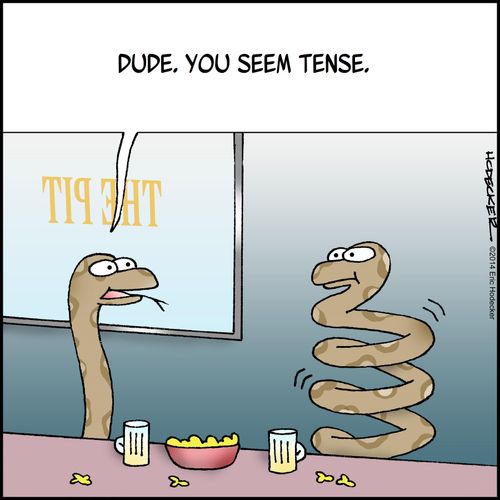 "Dude. You seem tense."