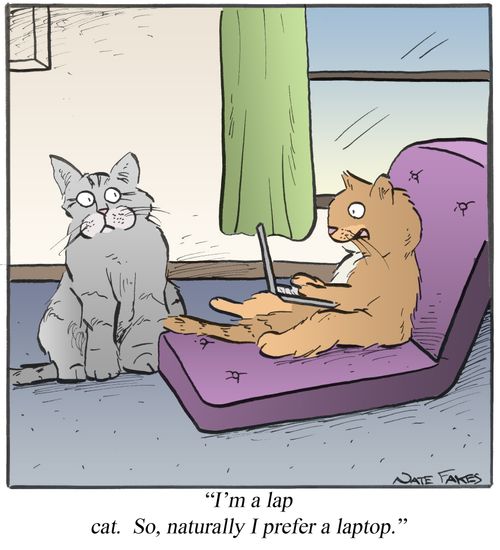 'I'm a lap cat. So, naturally I prefer a laptop.'