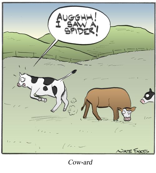 Cow-ard