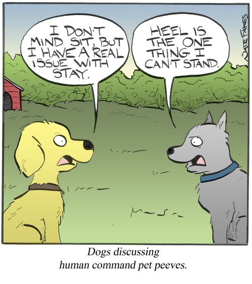 Dogs discussing human commend pet peeves.