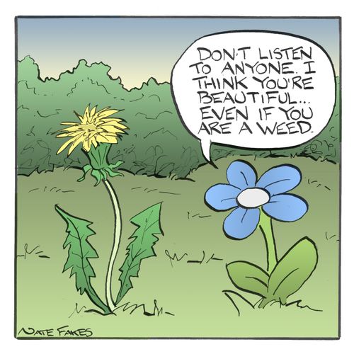 'Don't listen to anyone. I think you're beautiful...even if you are a weed.'