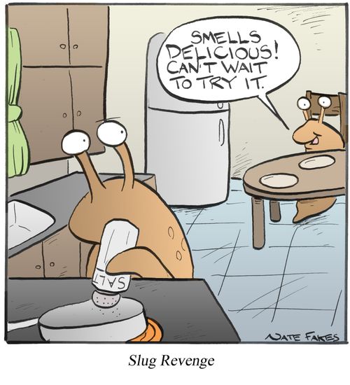 Slug Revenge